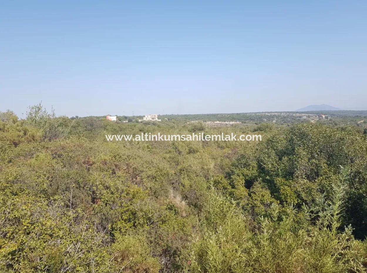 Grundstück Zu Verkaufen In Didim