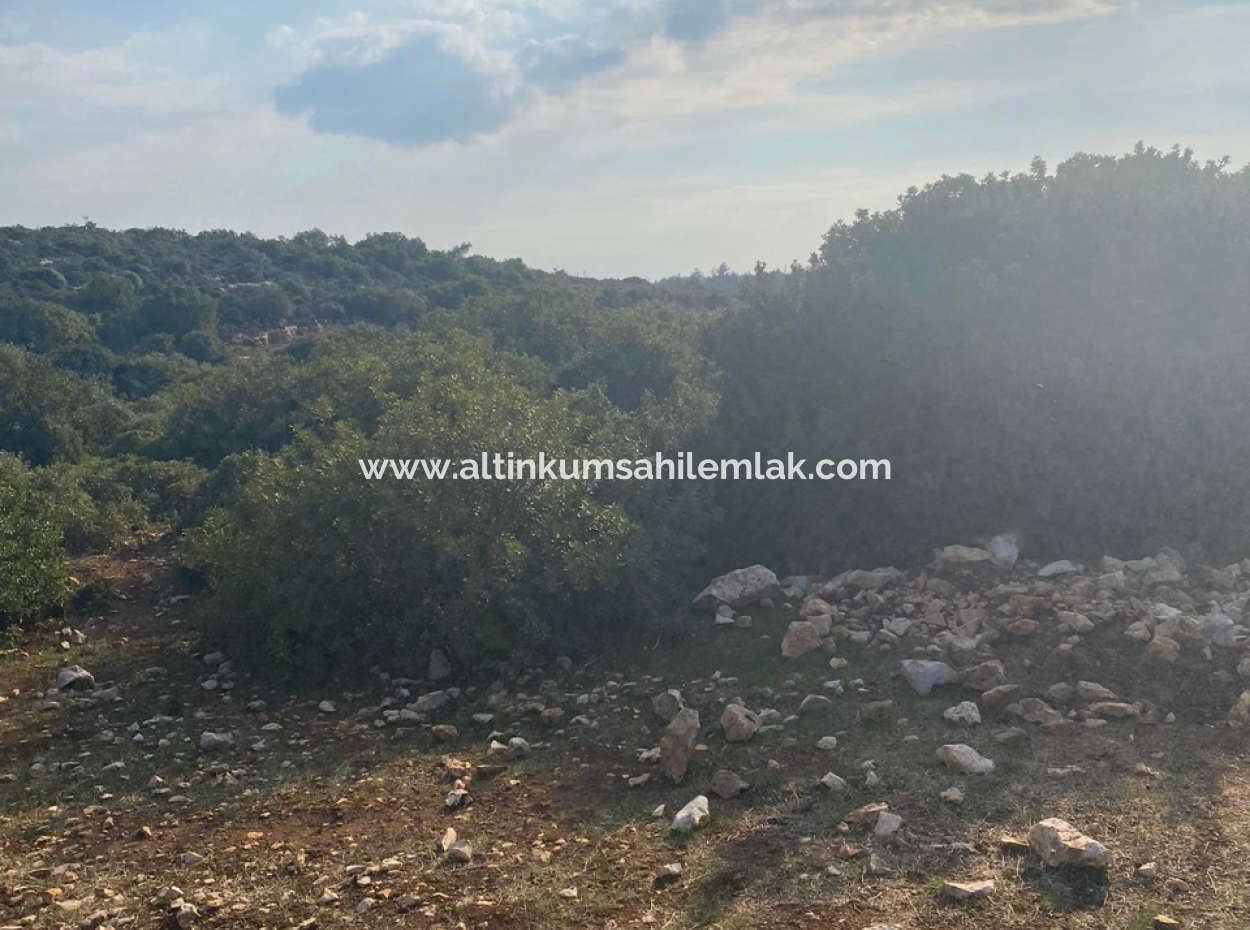 Didim Bozsekide 300M2 Grundstück Mit Zonierung Zum Verkauf