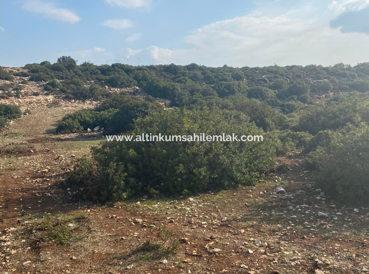 Didim Bozsekide 300M2 Grundstück Mit Zonierung Zum Verkauf