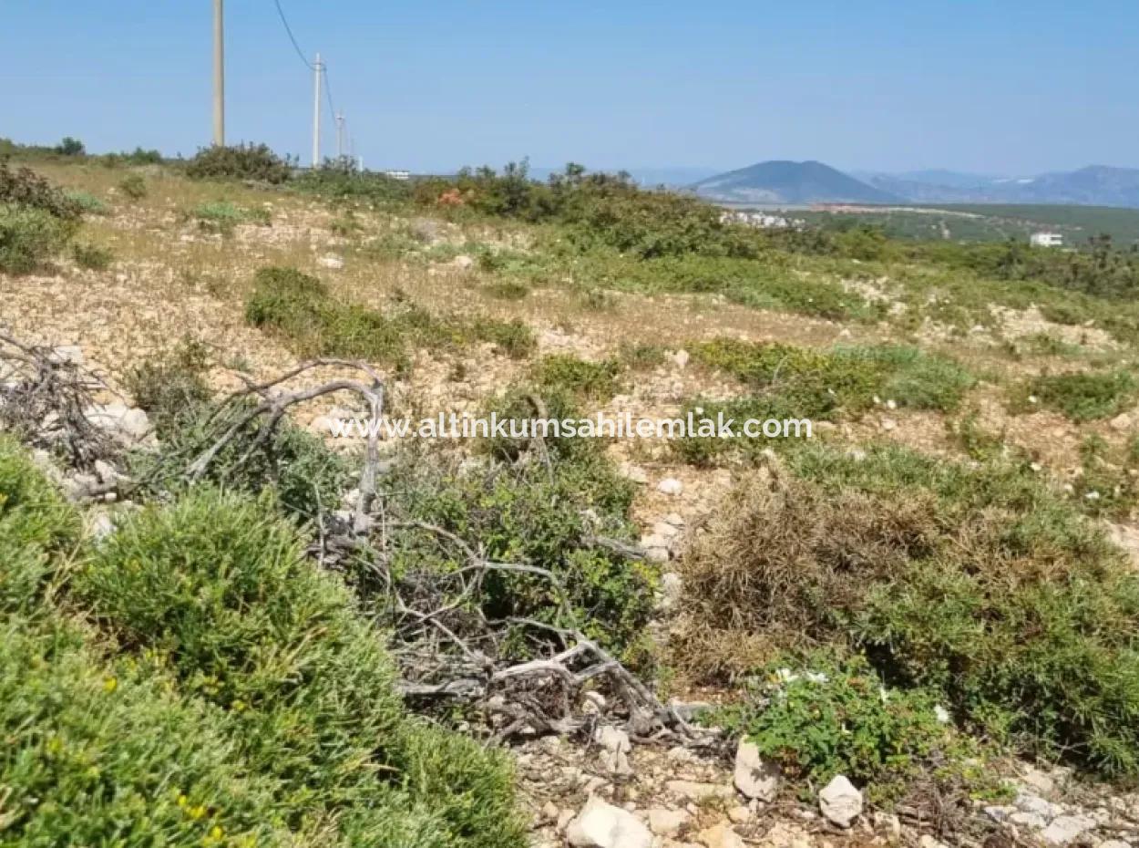 Grundstück Zum Verkauf İn Didim