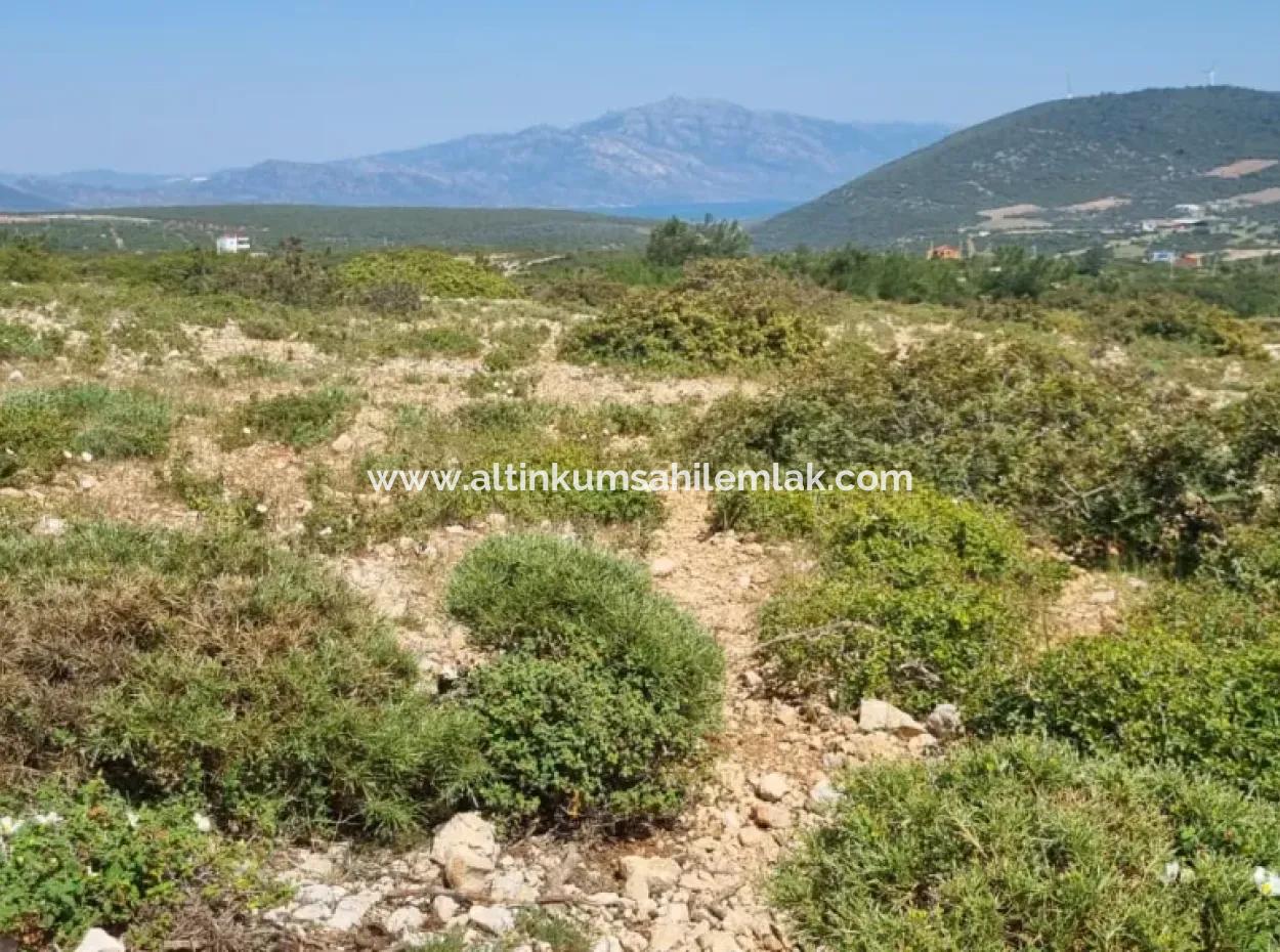 Grundstück Zum Verkauf İn Didim