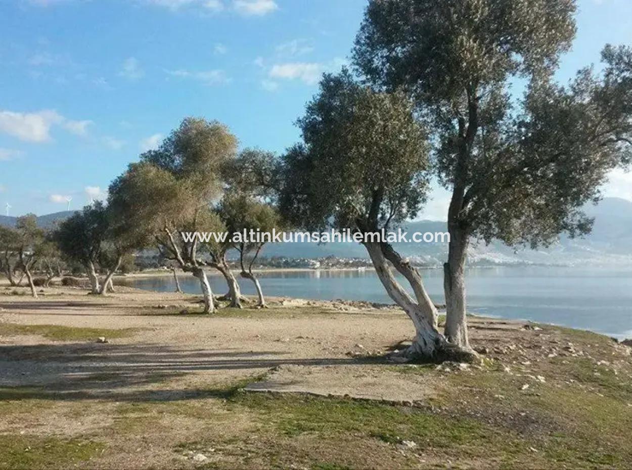 Grundstück Von Didim Fevzipaşada Villa Zum Verkauf 200 Meter Zum Meer