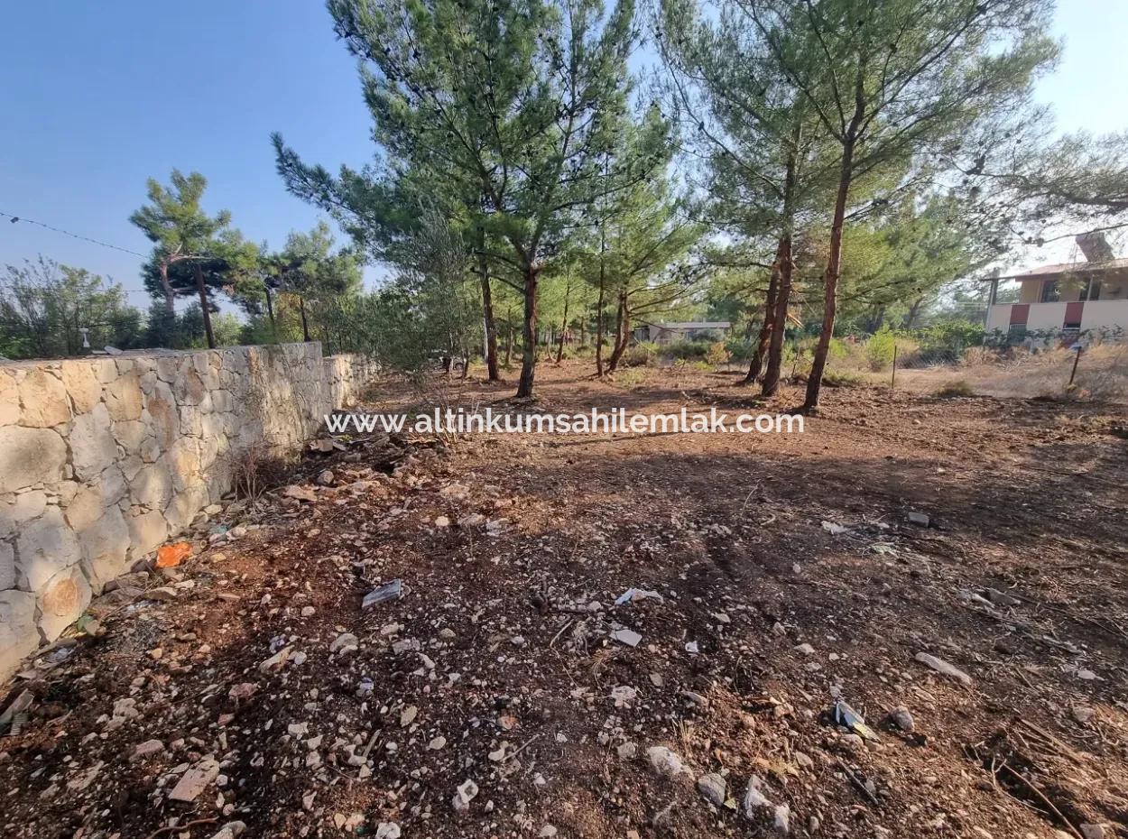 630 M2 Grundstücke Zum Verkauf In Didim Akyeniköy Seyrantepe