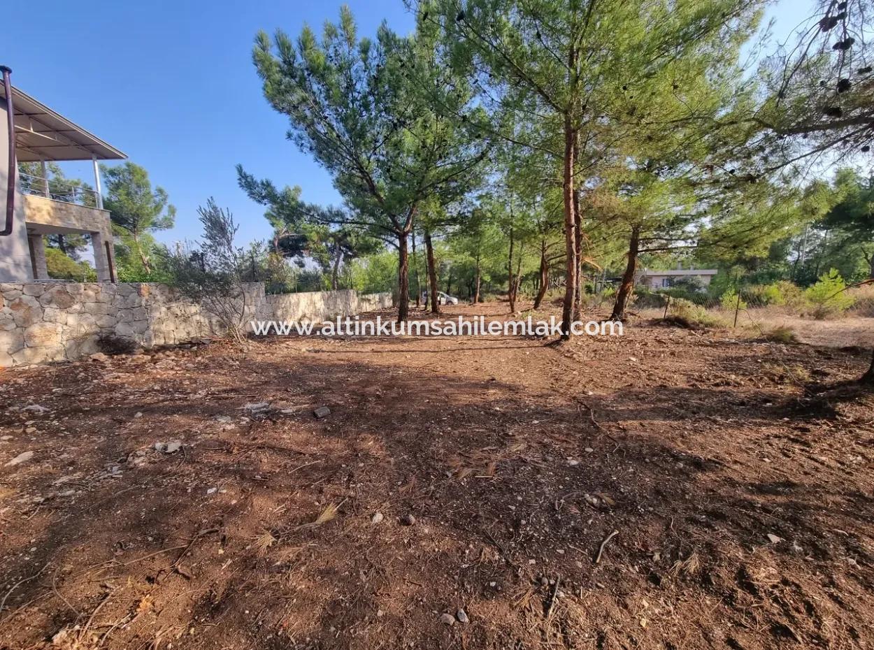 630 M2 Grundstücke Zum Verkauf In Didim Akyeniköy Seyrantepe