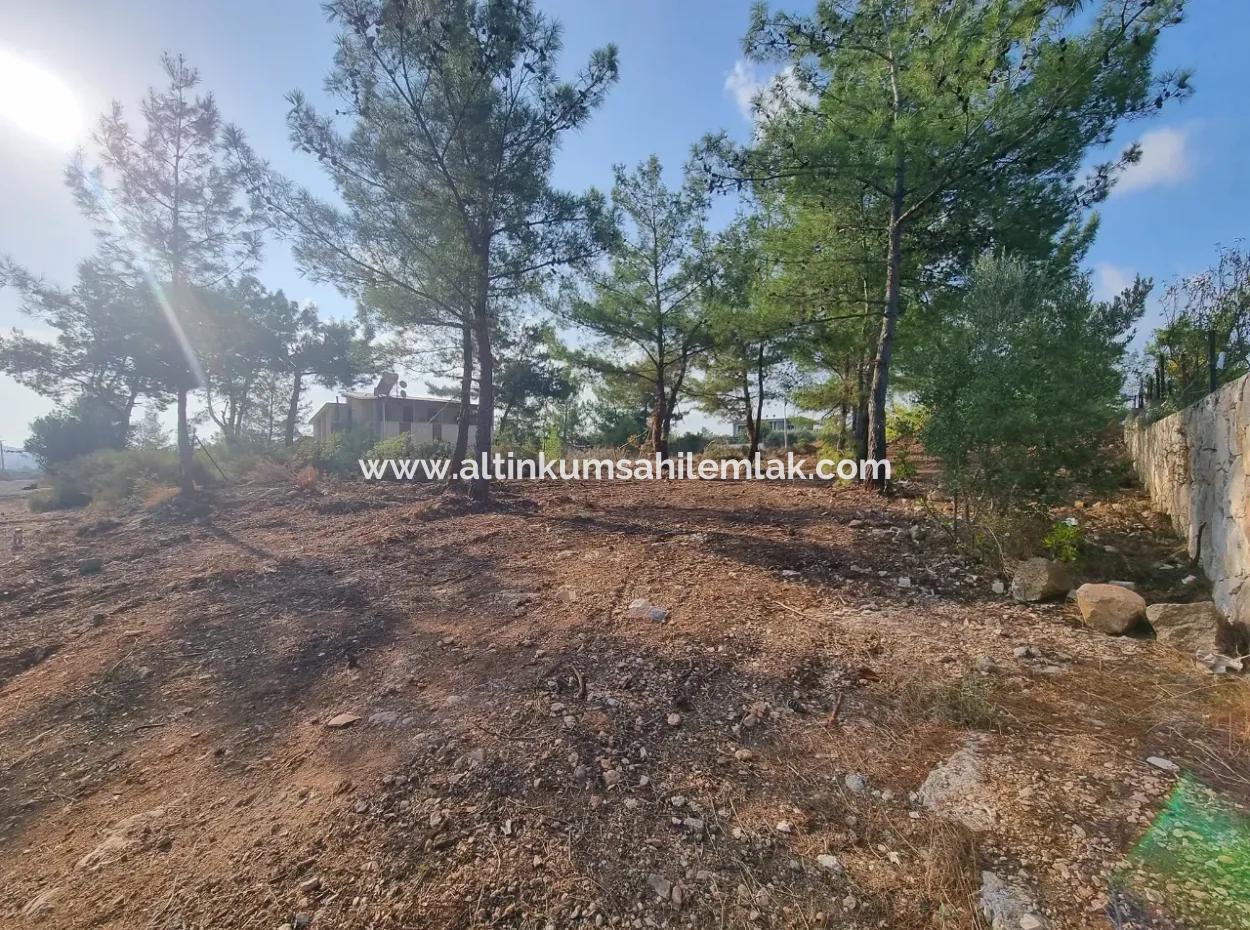 630 M2 Grundstücke Zum Verkauf In Didim Akyeniköy Seyrantepe