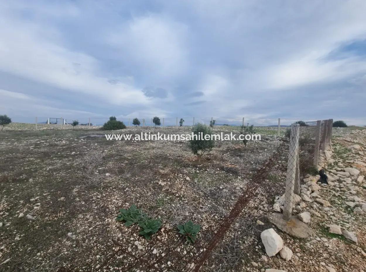 Investitionsgrundstücke Zum Verkauf In Didim Akyeniköy Bozseki