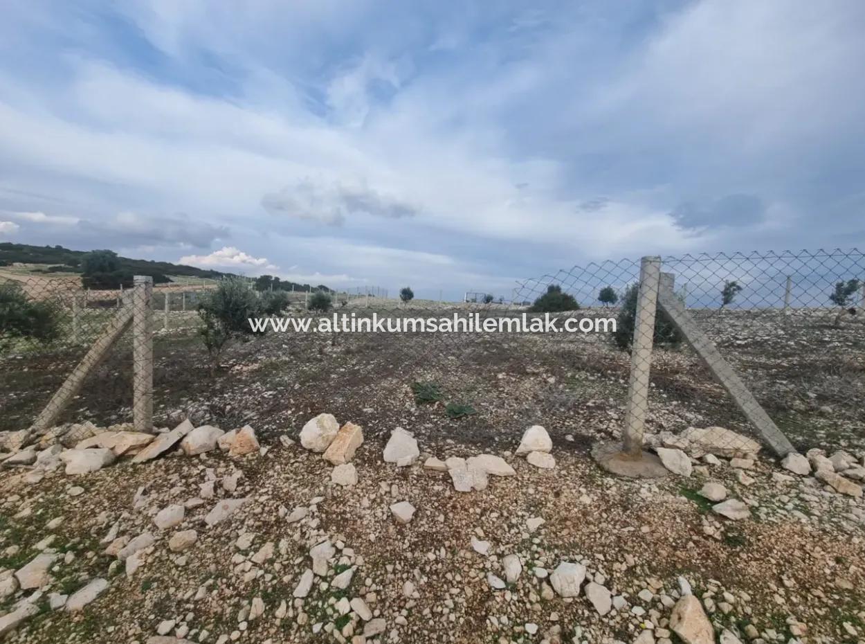 Investitionsgrundstücke Zum Verkauf In Didim Akyeniköy Bozseki