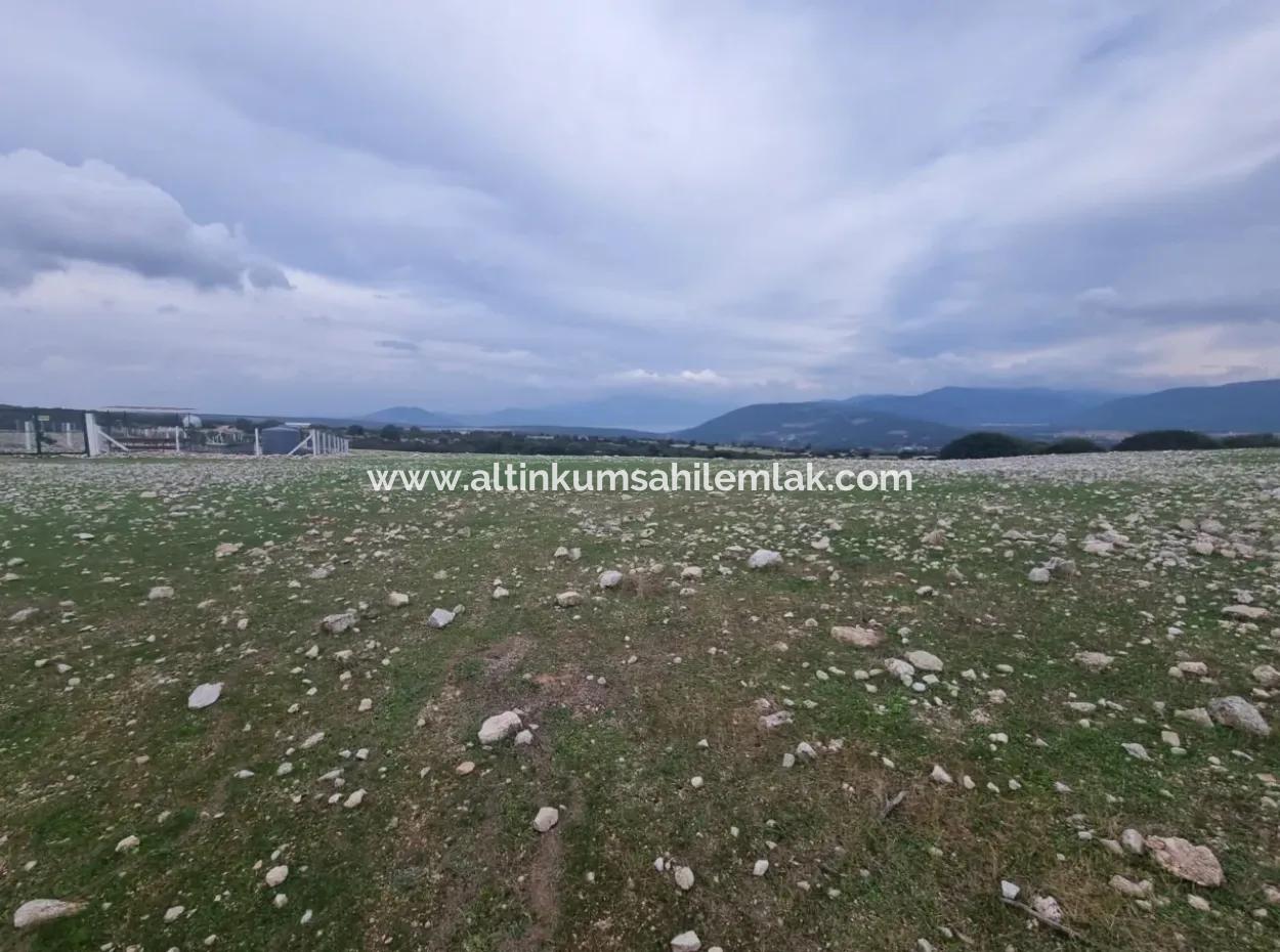 Investitionsgrundstücke Zum Verkauf In Didim Akyeniköy Bozseki