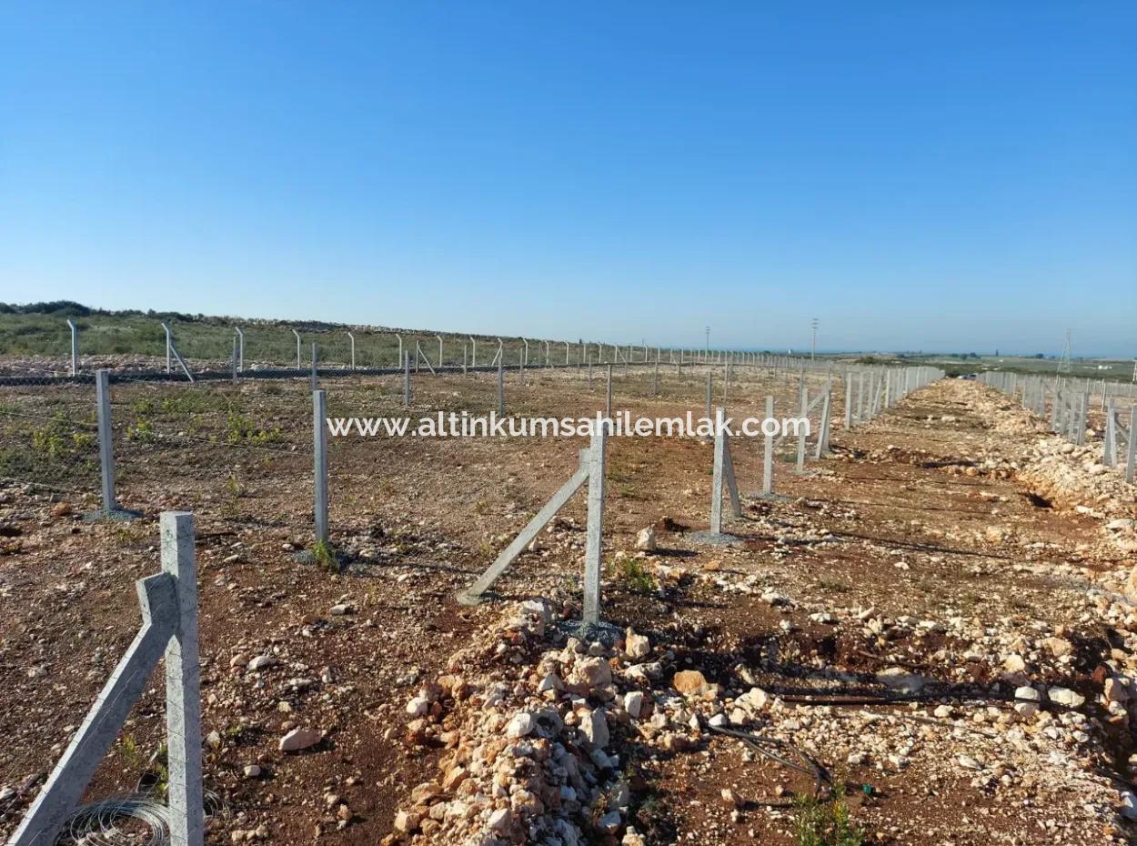 Hobbygarten Zu Verkaufen In Didim