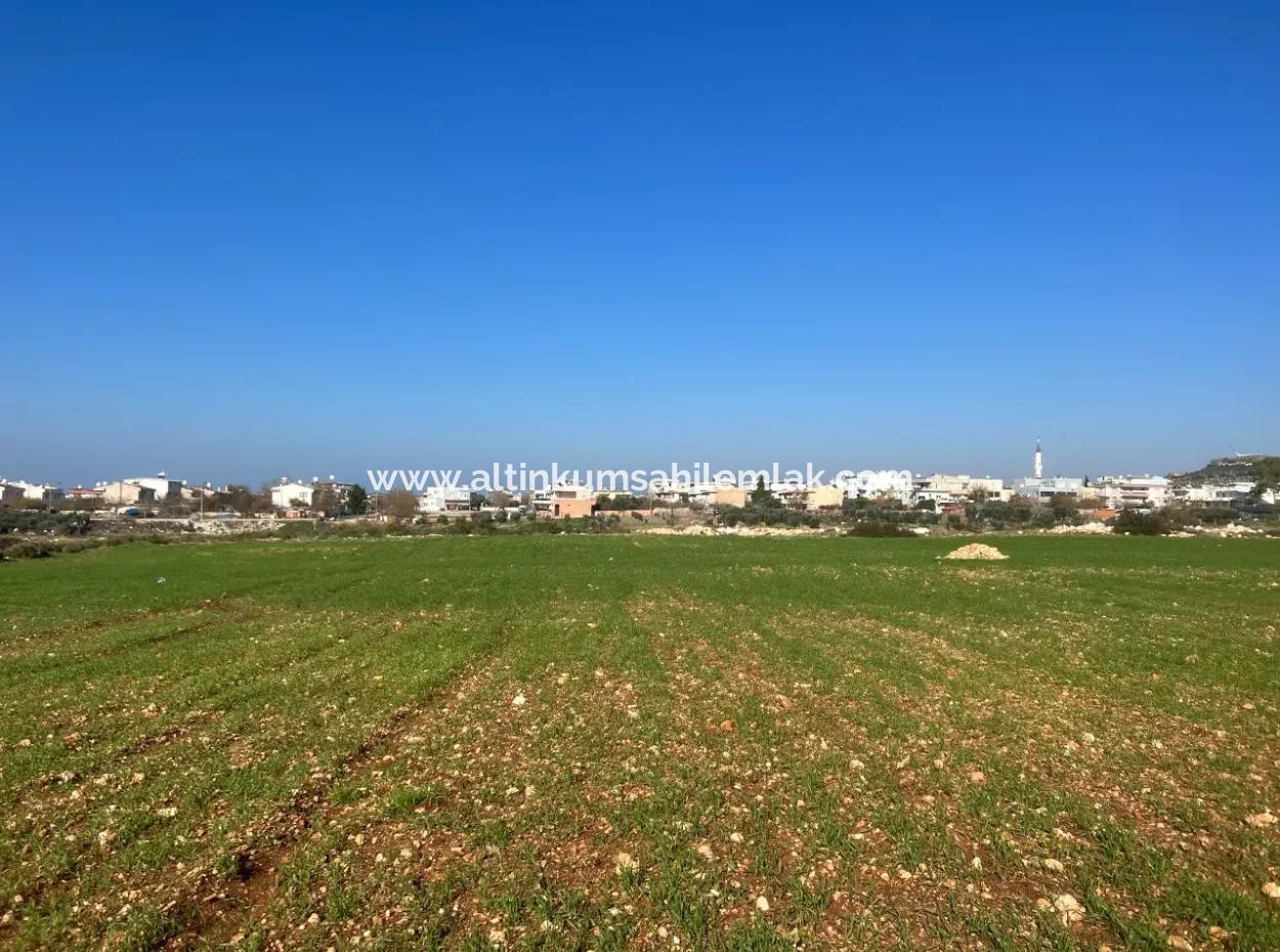 435 M2 Hobbygärten Mit Meerblick Zum Verkauf In Didim Von Altinkum Beach Real Estate