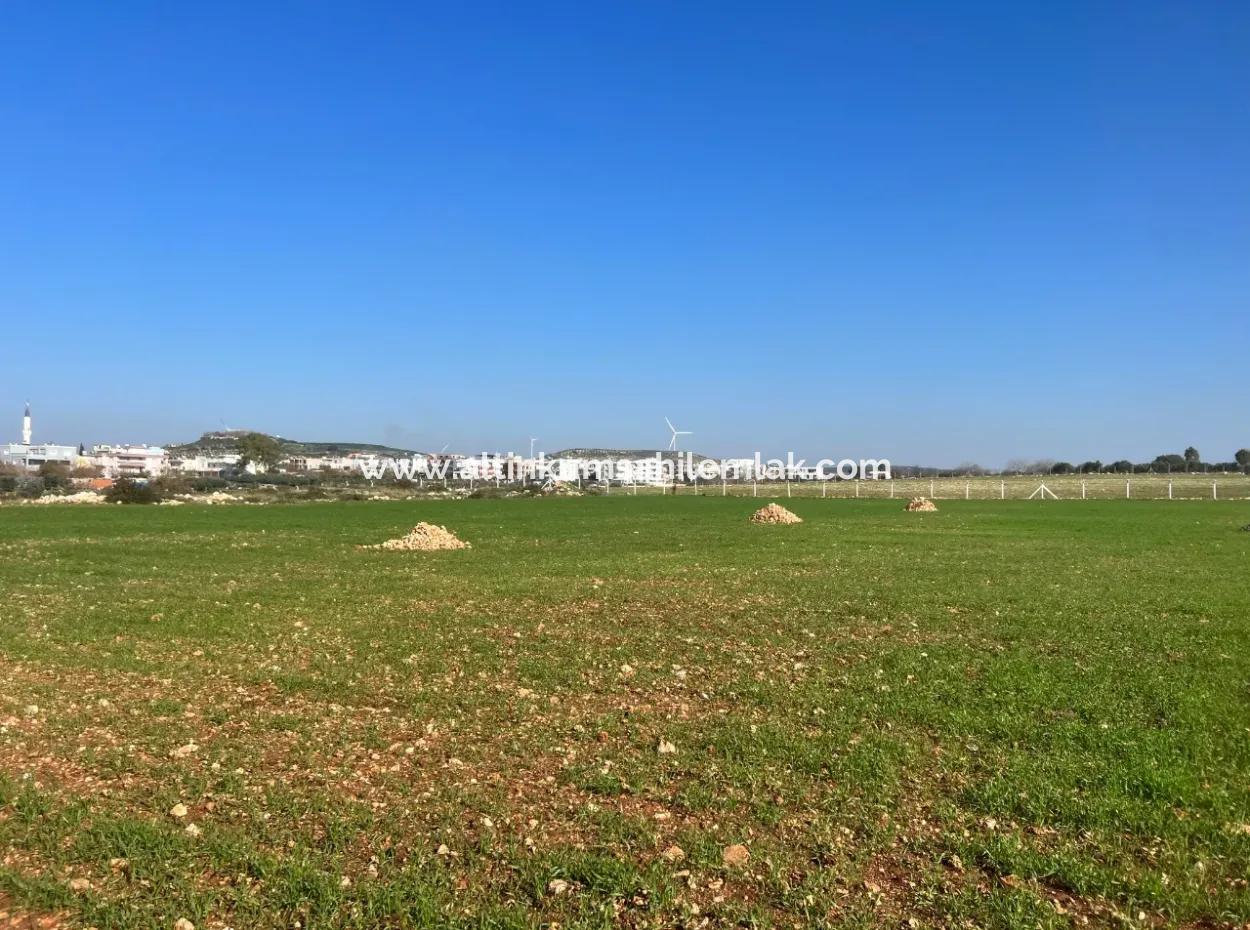 435 M2 Hobbygärten Mit Meerblick Zum Verkauf In Didim Von Altinkum Beach Real Estate