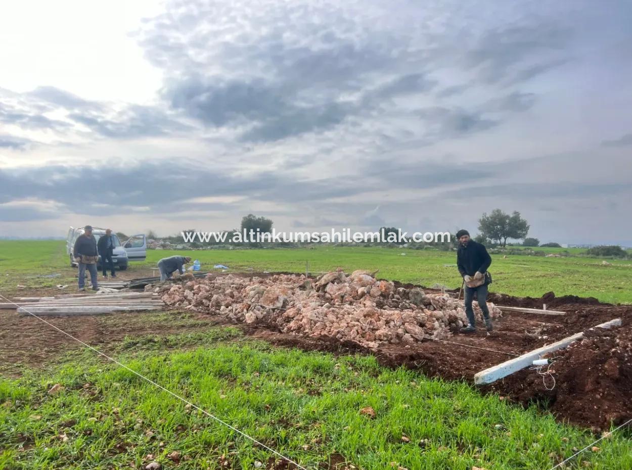 435 M2 Hobbygärten Mit Meerblick Zum Verkauf In Didim Von Altinkum Beach Real Estate