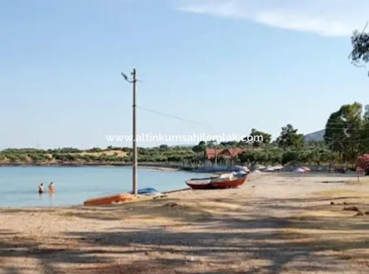 Olivenhain Zum Verkauf In Muğla Milas Bozbük