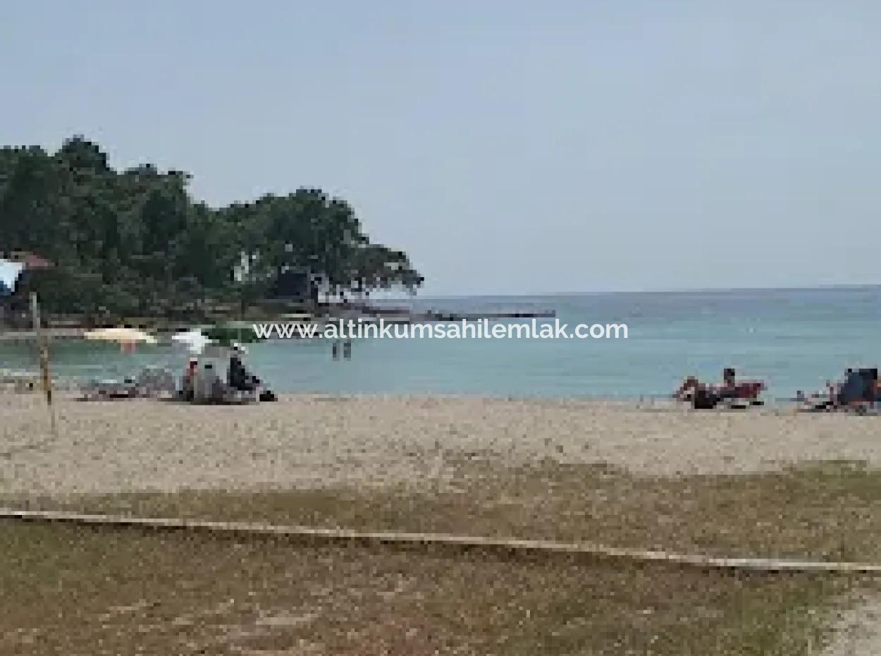 Olivenhain Zum Verkauf In Muğla Milas Bozbük