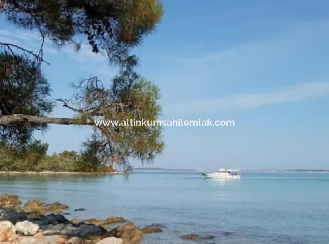 Olivenhain Zum Verkauf In Muğla Milas Bozbük