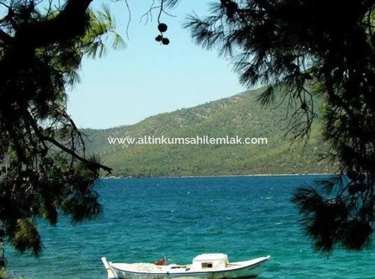 Land Zu Verkaufen In Gürçamlar Muğla Milas