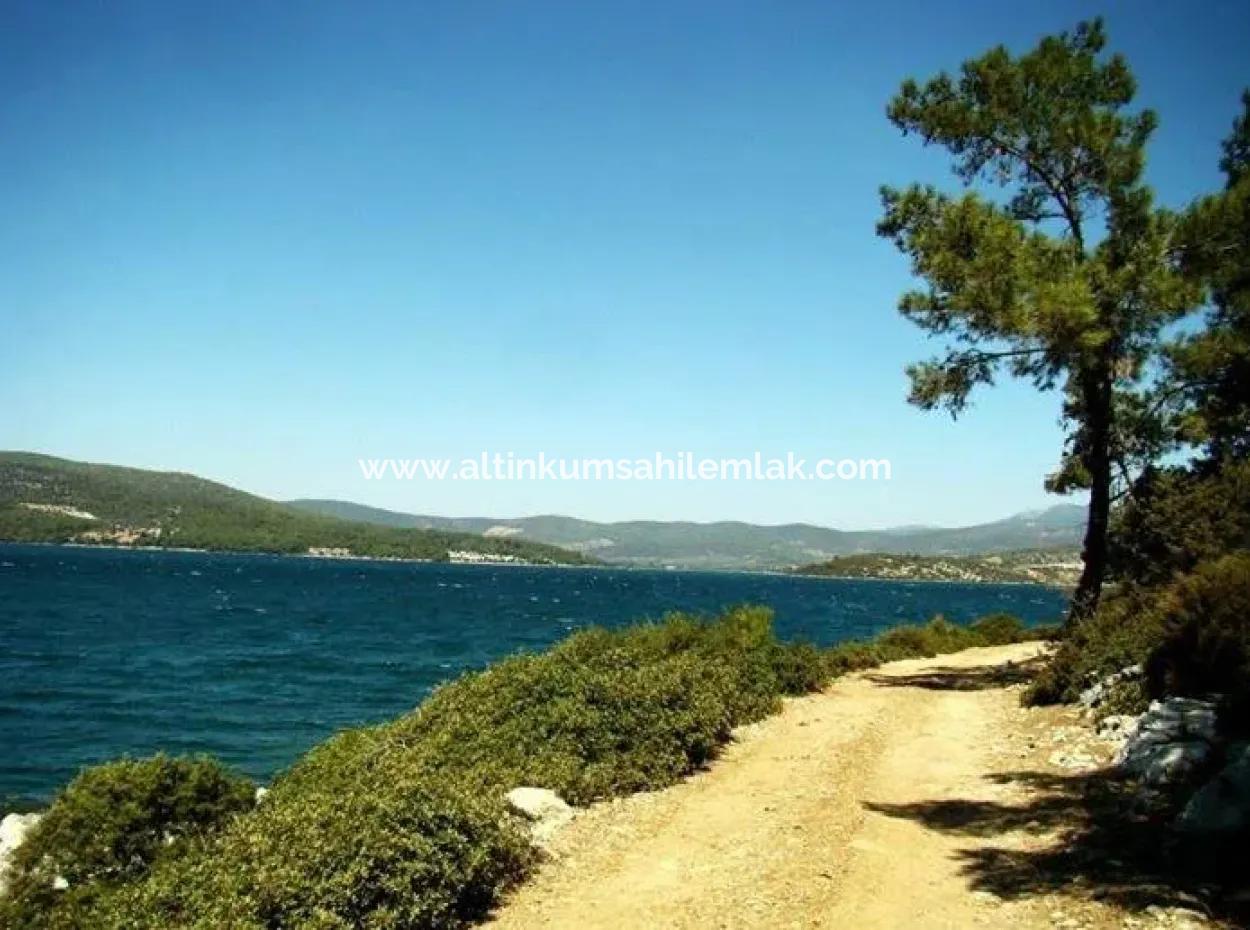 Land Zu Verkaufen In Gürçamlar Muğla Milas