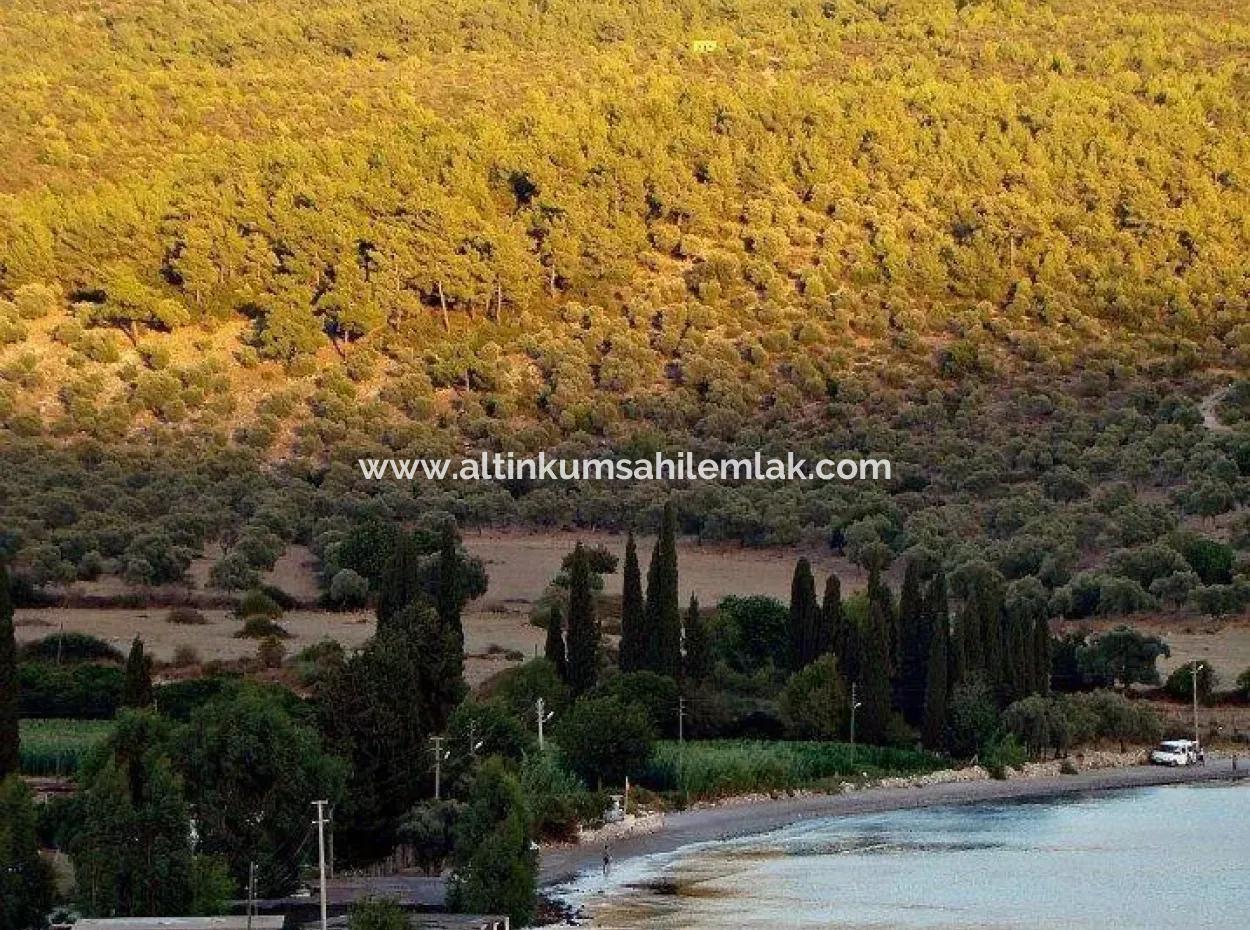 Land Zu Verkaufen In Gürçamlar Muğla Milas
