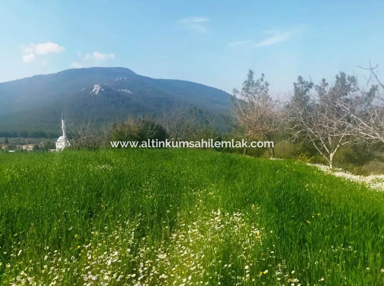 Grundstück Zum Verkauf Im Bezirk Muğla Milas Çiftlik