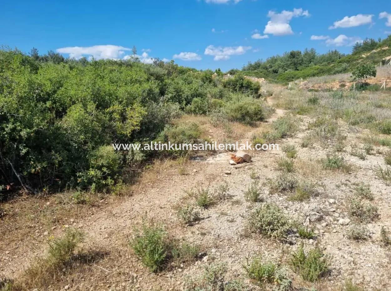 600 M2 Zoniertes Kelepir-Villengrundstück Zum Verkauf In Der Gegend Von Didim Seyrantepe Zu Einem Erschwinglichen Preis
