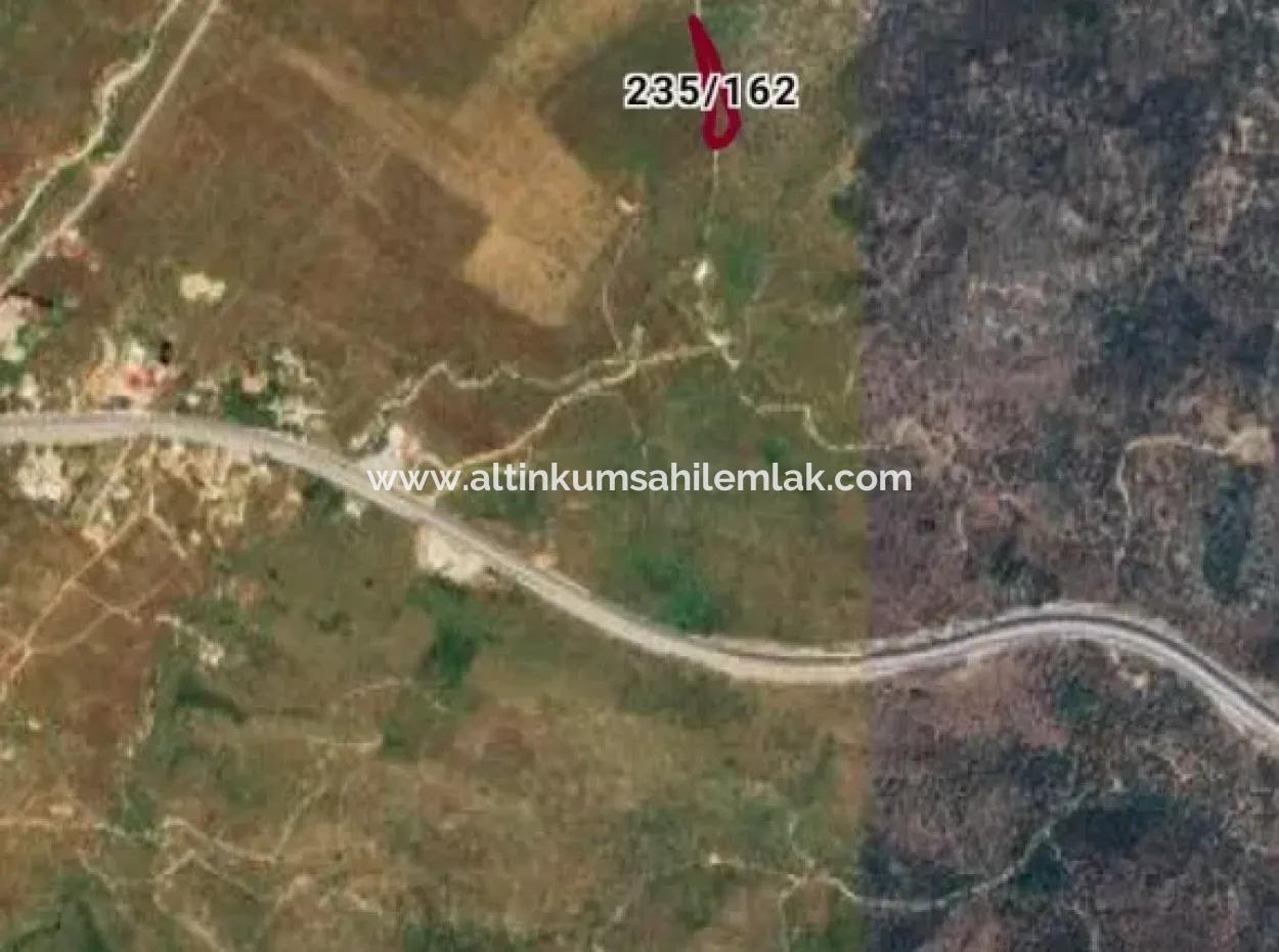 Investition 2150 M2 Olivenhain Zum Verkauf In Muğla Milas Bafa