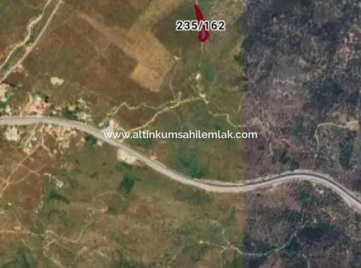 Muğla Milas Bafada Investition 2150 M2 Olivenhain Zu Verkaufen