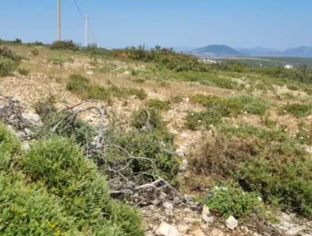 Grundstück Zum Verkauf İn Didim