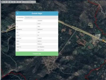 6 Dekar Olivenhainland Zum Verkauf, Investitionsland In Muğla Milas