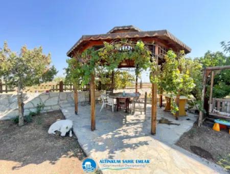 Holzvilla Zum Verkauf In Toller Lage In Didim, Altinkum Und Mit Toller Architektur