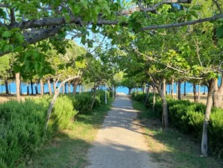 Grundstück Von Didim Fevzipaşada Villa Zum Verkauf 200 Meter Zum Meer