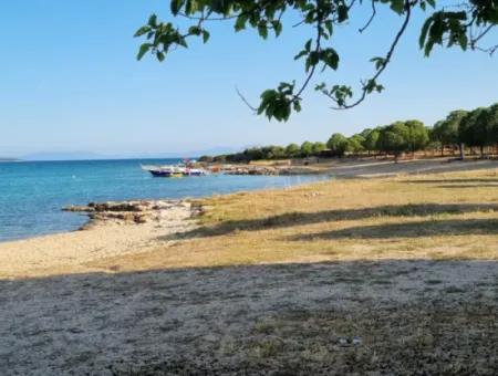 Grundstück Von Didim Fevzipaşada Villa Zum Verkauf 200 Meter Zum Meer