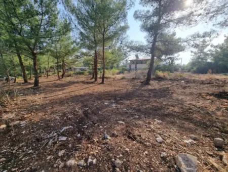 630 M2 Grundstücke Zum Verkauf In Didim Akyeniköy Seyrantepe