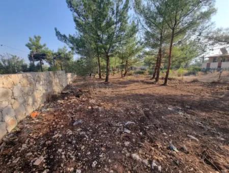 630 M2 Grundstücke Zum Verkauf In Didim Akyeniköy Seyrantepe