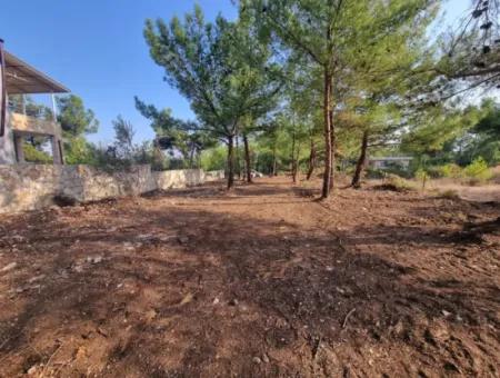 630 M2 Grundstücke Zum Verkauf In Didim Akyeniköy Seyrantepe