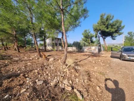 630 M2 Grundstücke Zum Verkauf In Didim Akyeniköy Seyrantepe