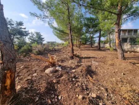 630 M2 Grundstücke Zum Verkauf In Didim Akyeniköy Seyrantepe