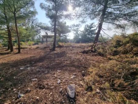 630 M2 Grundstücke Zum Verkauf In Didim Akyeniköy Seyrantepe