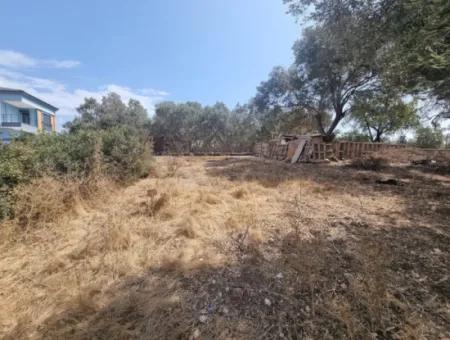 Grundstück Zum Verkauf Im Bezirk Hisar In Didim