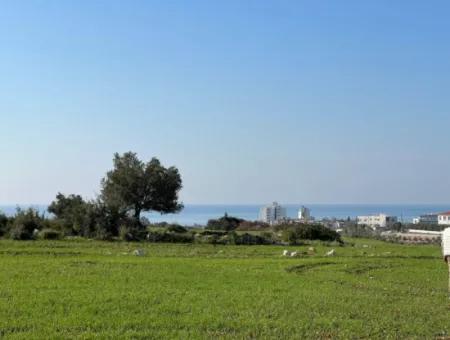 435 M2 Hobbygärten Mit Meerblick Zum Verkauf In Didim Von Altinkum Beach Real Estate