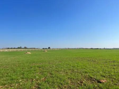 435 M2 Hobbygärten Mit Meerblick Zum Verkauf In Didim Von Altinkum Beach Real Estate