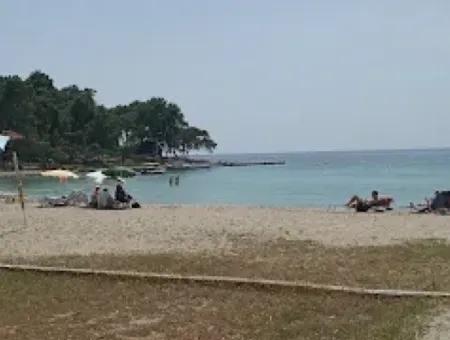 Olivenhain Zum Verkauf In Muğla Milas Bozbük