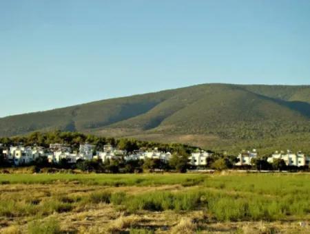 Land Zu Verkaufen In Gürçamlar Muğla Milas