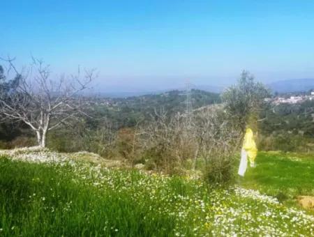 Grundstück Zum Verkauf Im Bezirk Muğla Milas Çiftlik