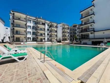 Möblierte 31 Doppelhäuser Zum Verkauf Auf Dem Aydın Didim Apollo Court Site!