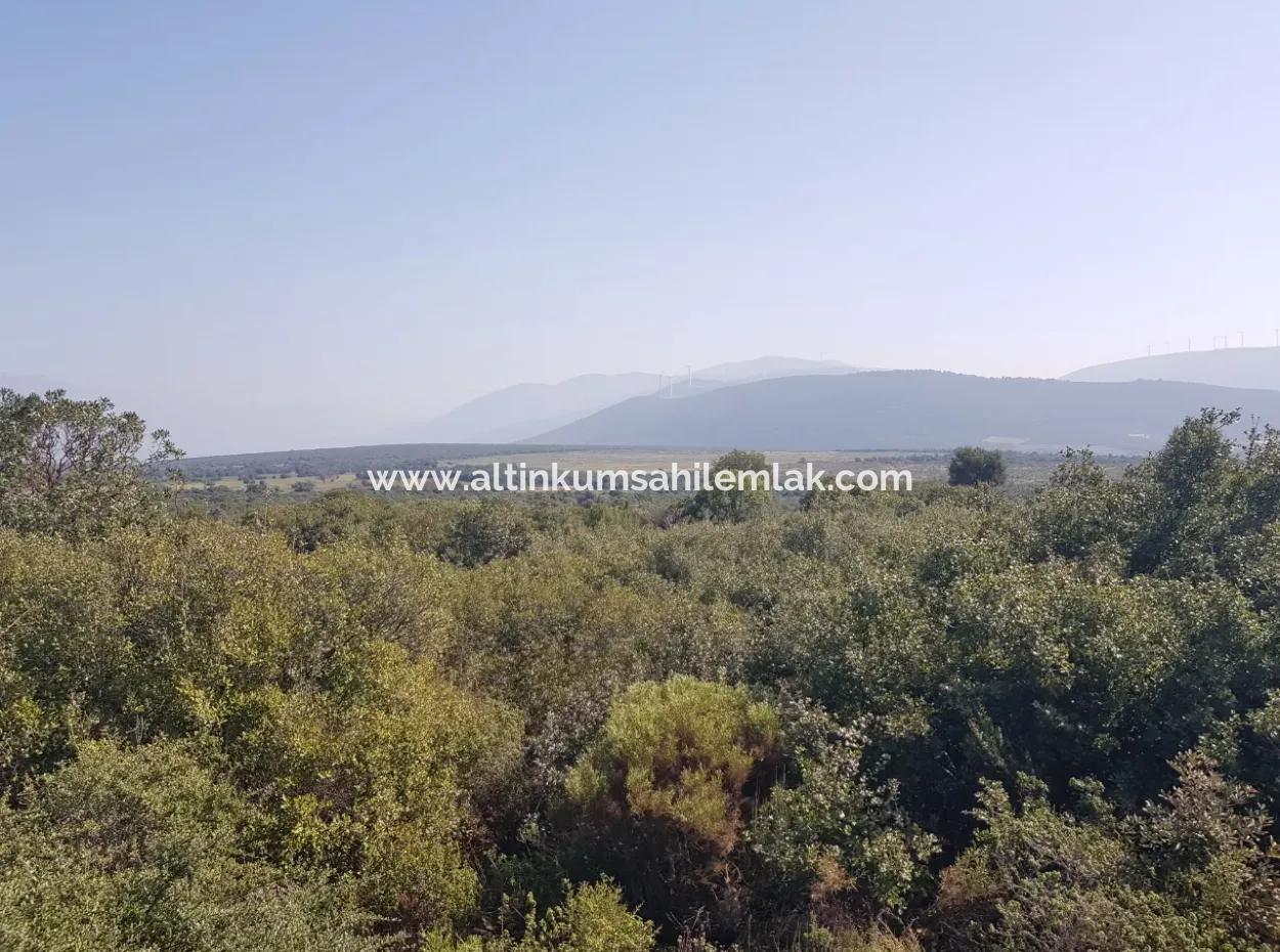 Land For Sale In Didim