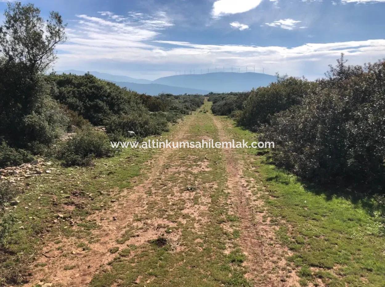 Land For Sale In Didim