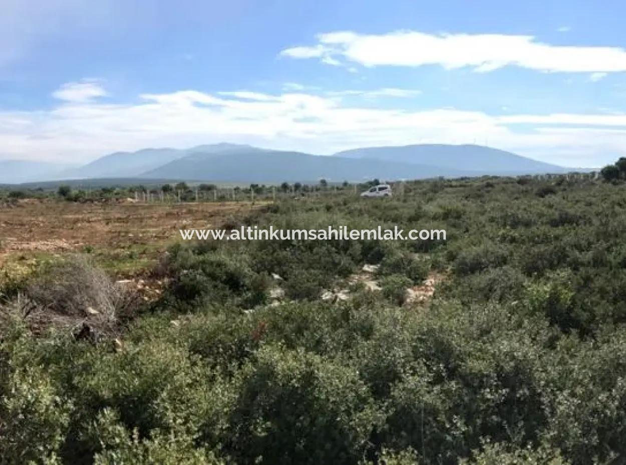 Land For Sale In Didim