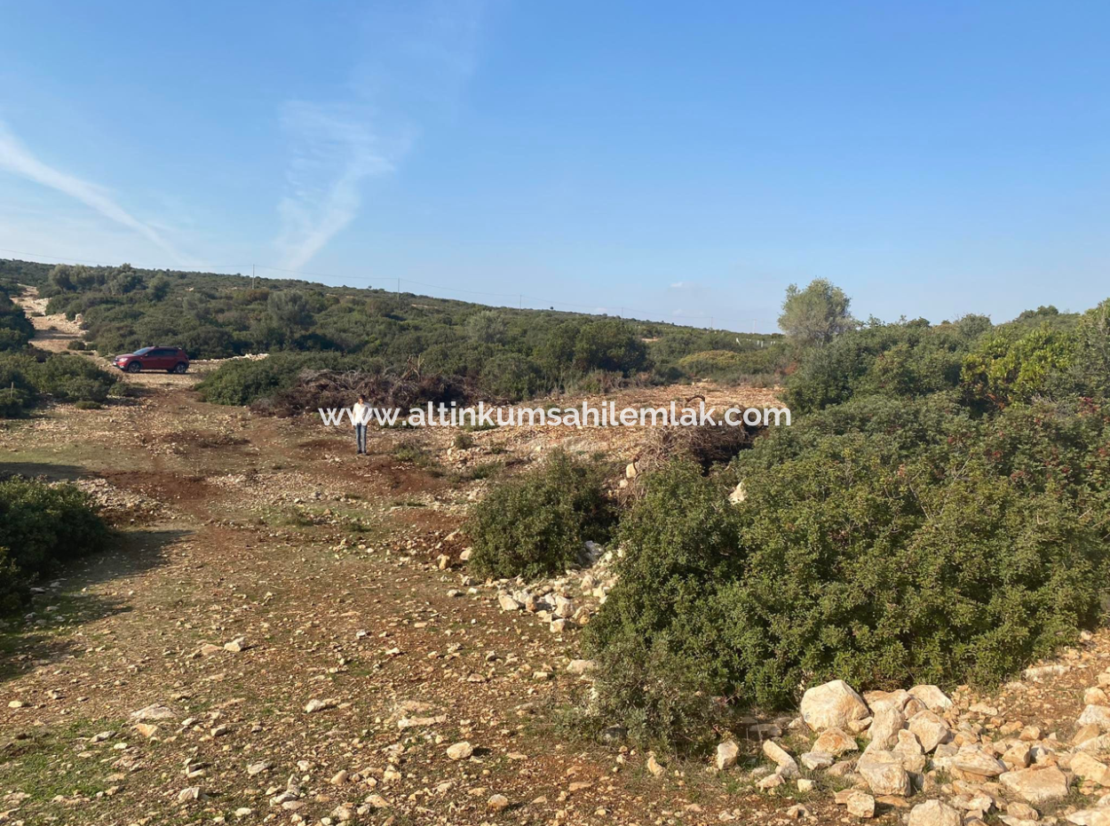 Didim Bizsekide 3 Plots For Sale