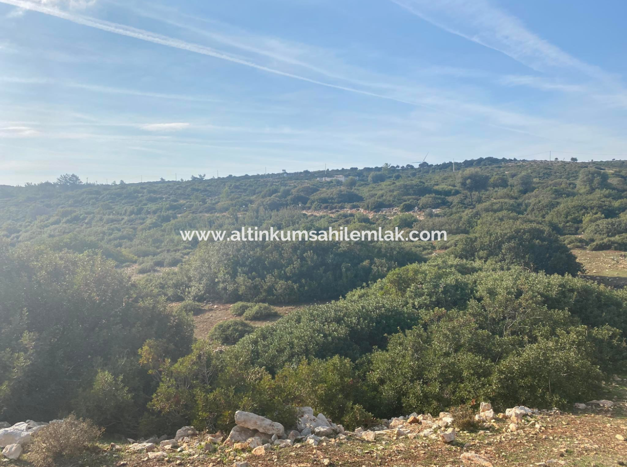 Didim Bizsekide 3 Plots For Sale