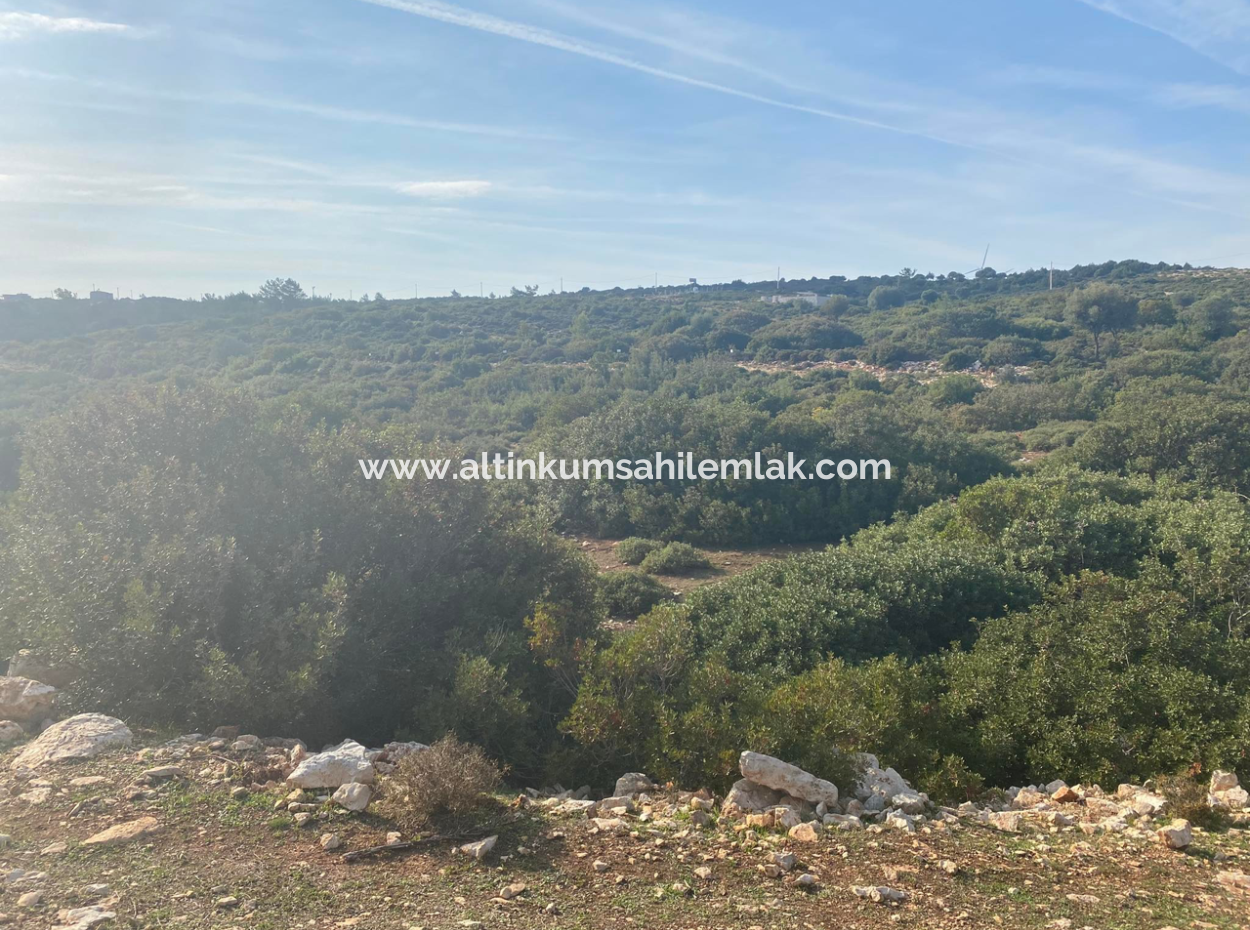 Didim Bozsekide 300M2 Land With Zoning For Sale